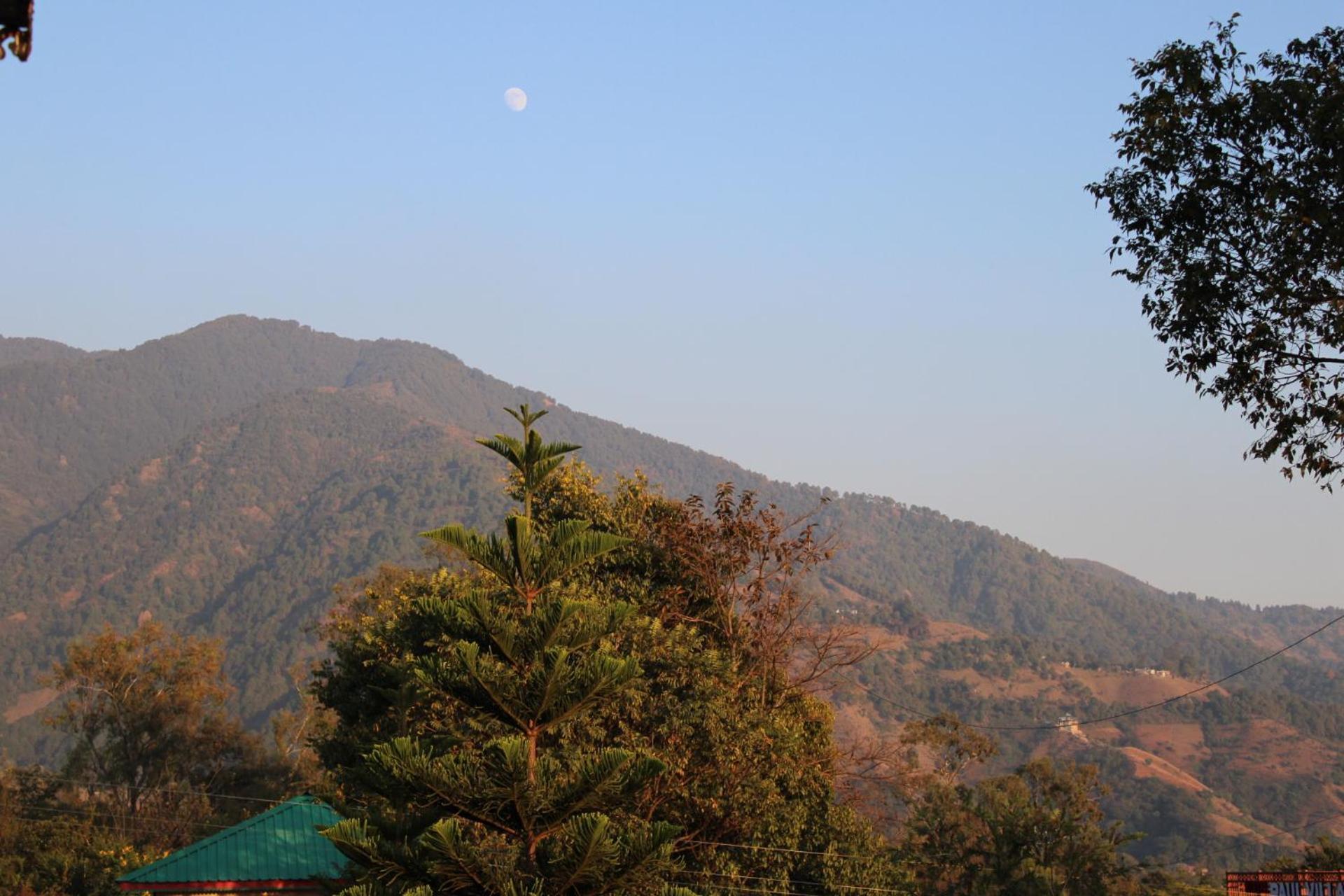 Aditya Homestay Bir-Billing Surrounded By Mountains Eksteriør bilde